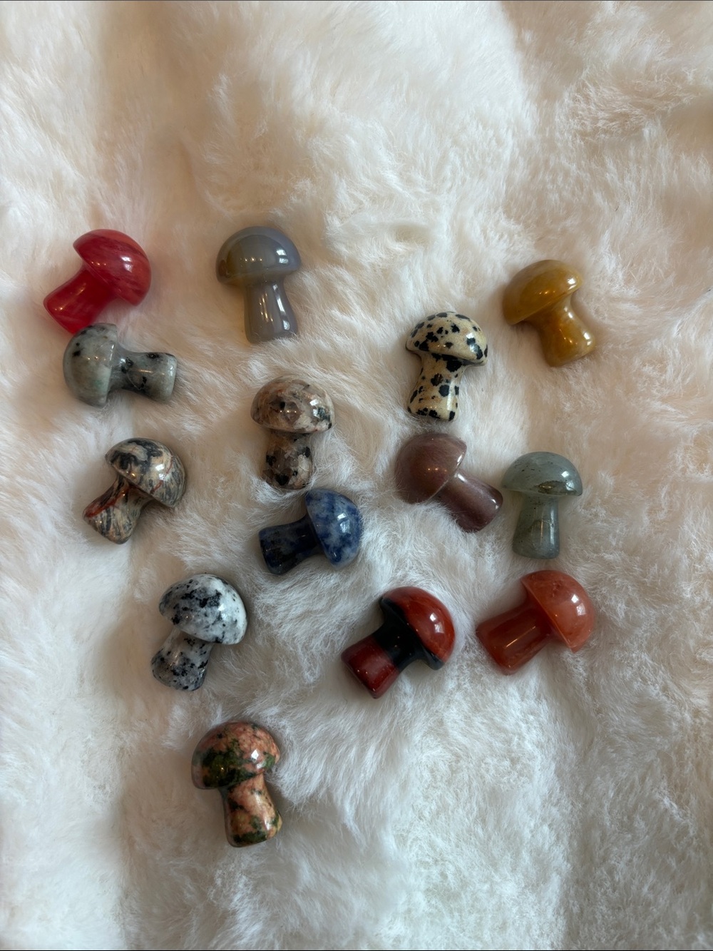 14 Assorted Gemstone Mushroom Collection Crystals New